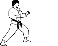 Ryukyukan Logo